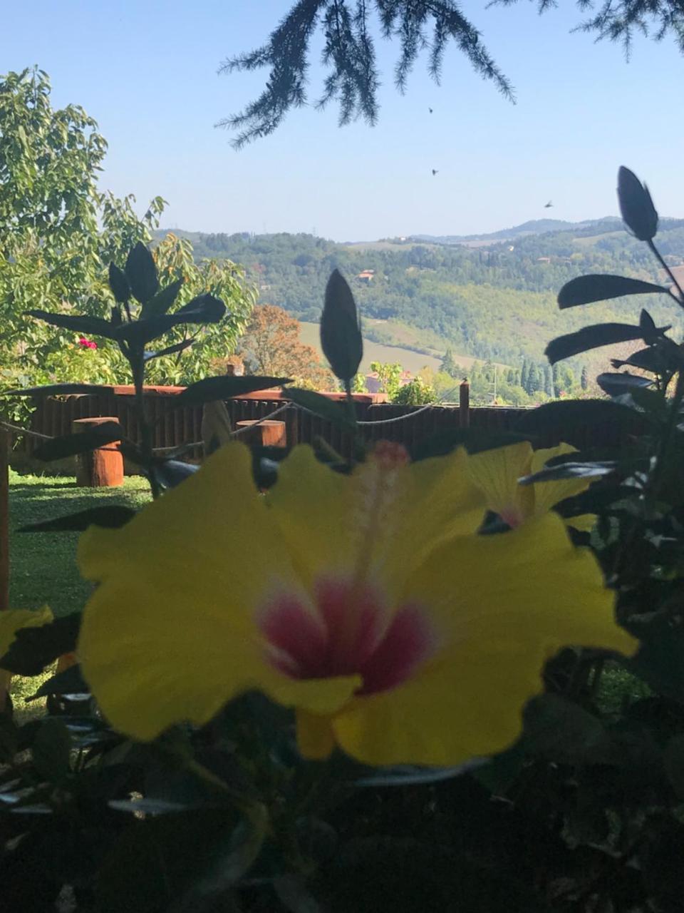 B&B Chalet I Colli カザレッキオ・ディ・レーノ エクステリア 写真